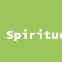 Spirituosen