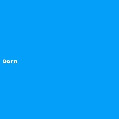 Hersteller: Dorn