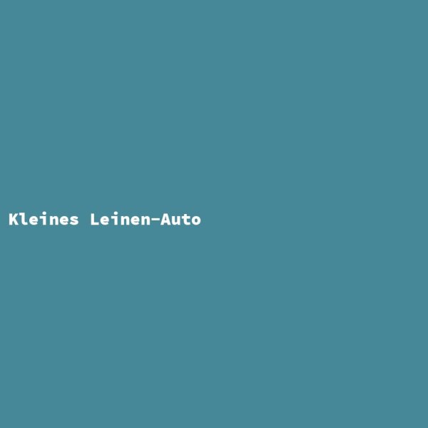 Kleines Leinen-Auto