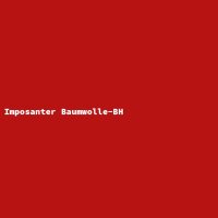Imposanter Baumwolle-BH